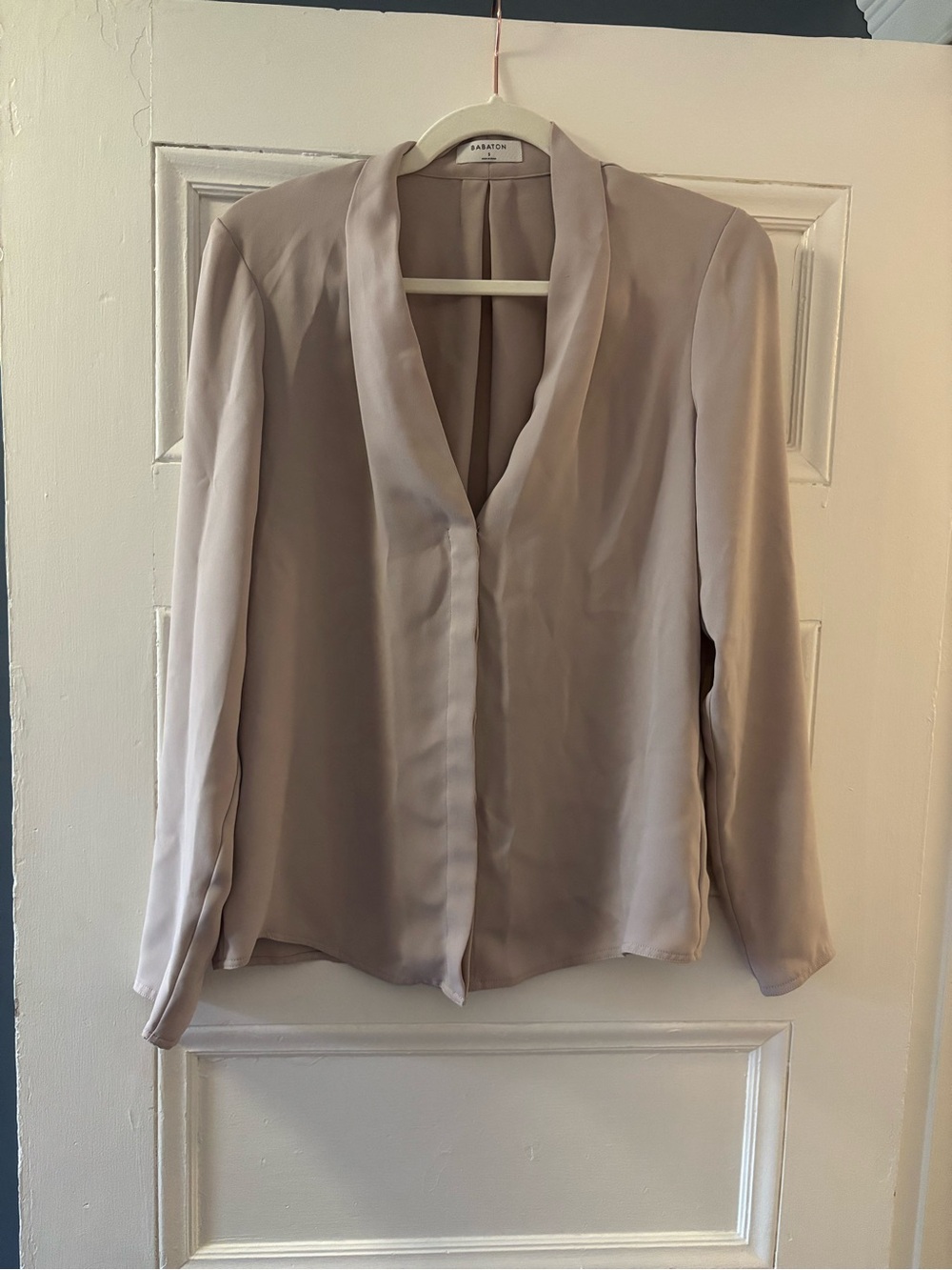 Babaton Taupe V-Neck Long Sleeve Silk-Feel Blouse